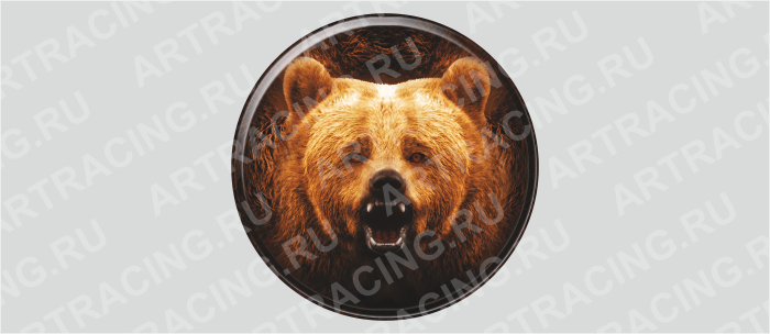 наклейка на запасное колесо звери цветные "Медведь"